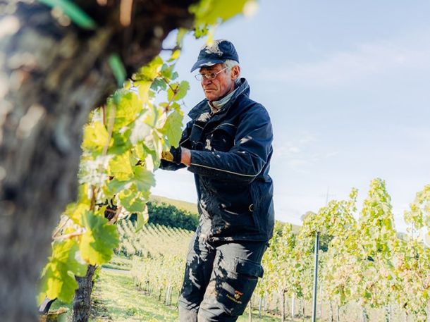 Weingut8 166dfa44